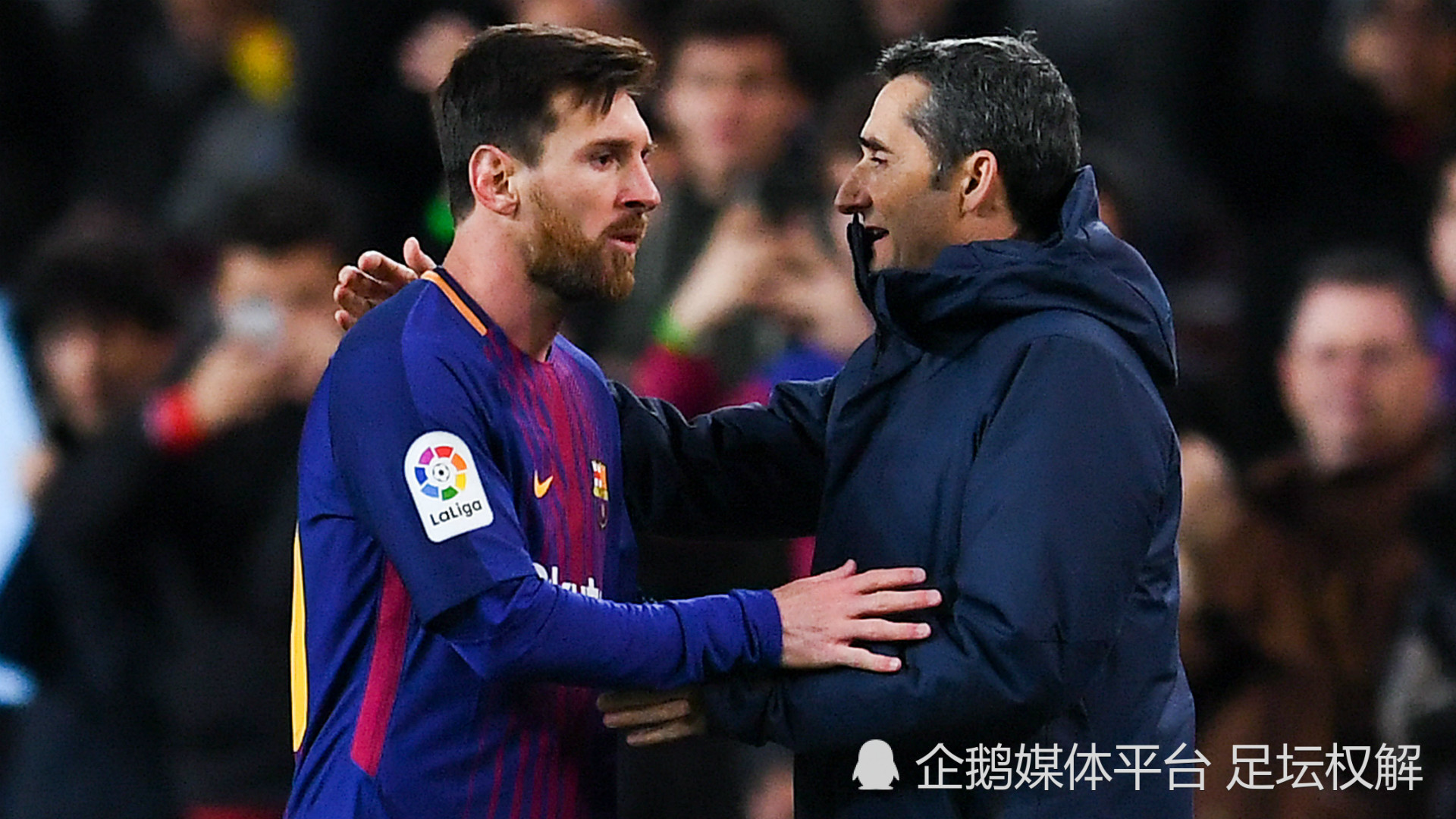 这也行？今夜多伦多猛龙状态回暖丹佛掘金围绕欧冠强势反弹，萨克拉门托国王强势反弹备战NBA常规赛的简单介绍